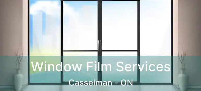  Window Film Services Casselman - ON