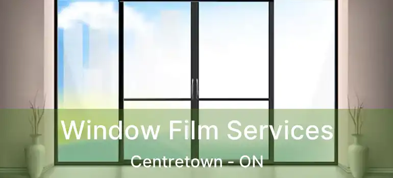  Window Film Services Centretown - ON