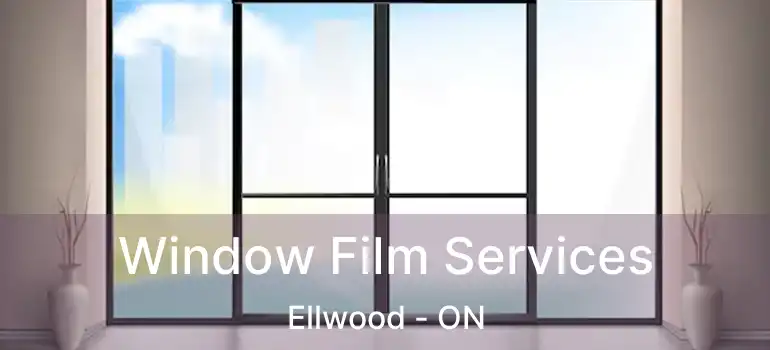  Window Film Services Ellwood - ON