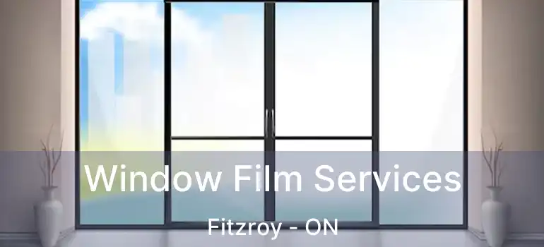  Window Film Services Fitzroy - ON