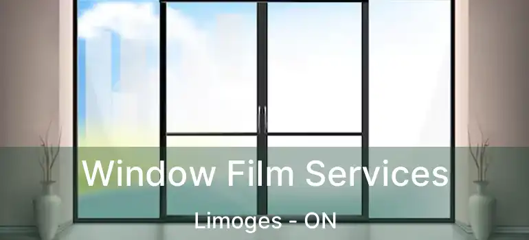  Window Film Services Limoges - ON