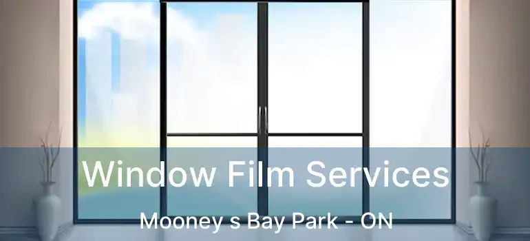  Window Film Services Mooney s Bay Park - ON