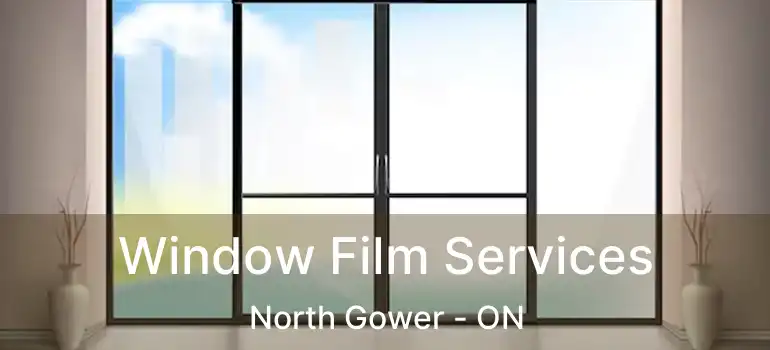  Window Film Services North Gower - ON