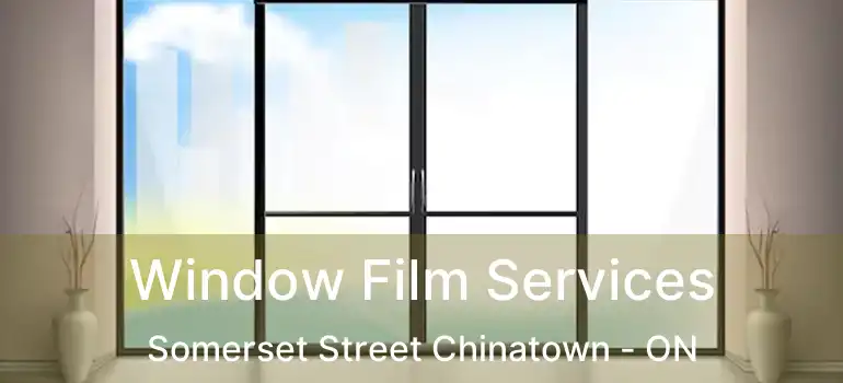  Window Film Services Somerset Street Chinatown - ON