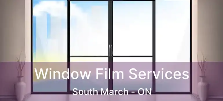  Window Film Services South March - ON