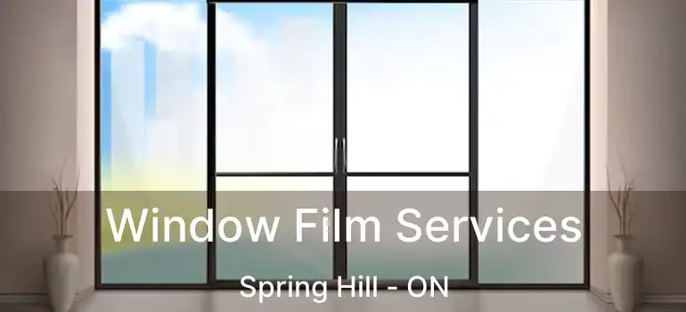  Window Film Services Spring Hill - ON