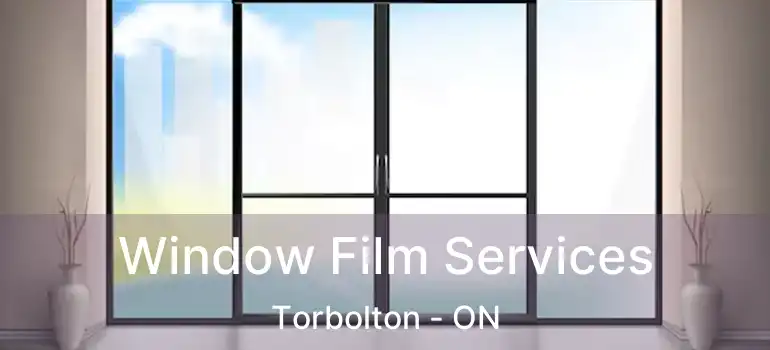  Window Film Services Torbolton - ON