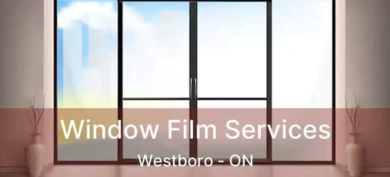  Window Film Services Westboro - ON