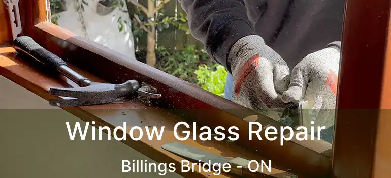  Window Glass Repair Billings Bridge - ON