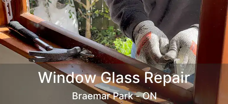  Window Glass Repair Braemar Park - ON