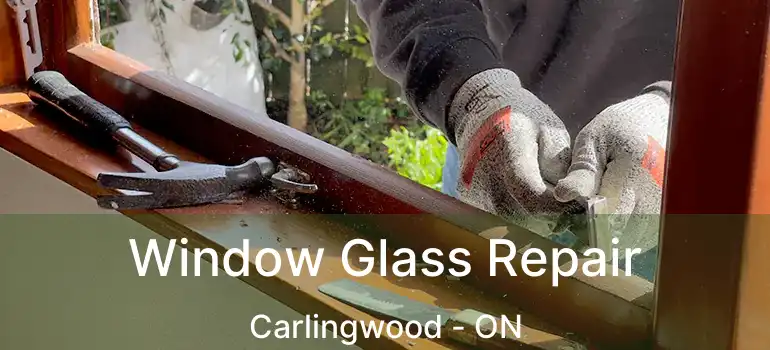  Window Glass Repair Carlingwood - ON