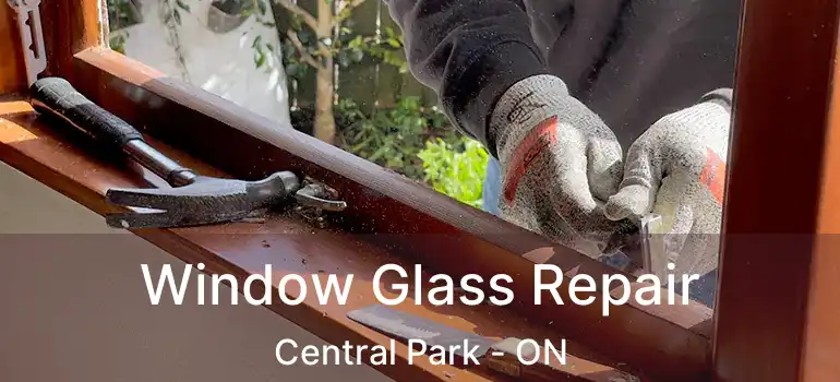  Window Glass Repair Central Park - ON