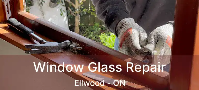  Window Glass Repair Ellwood - ON