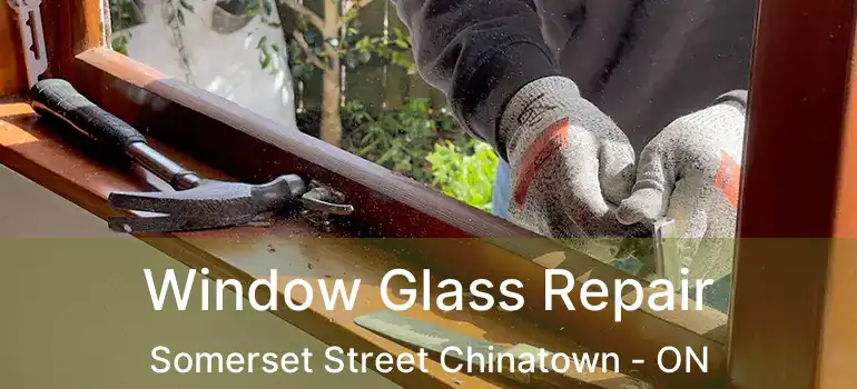  Window Glass Repair Somerset Street Chinatown - ON