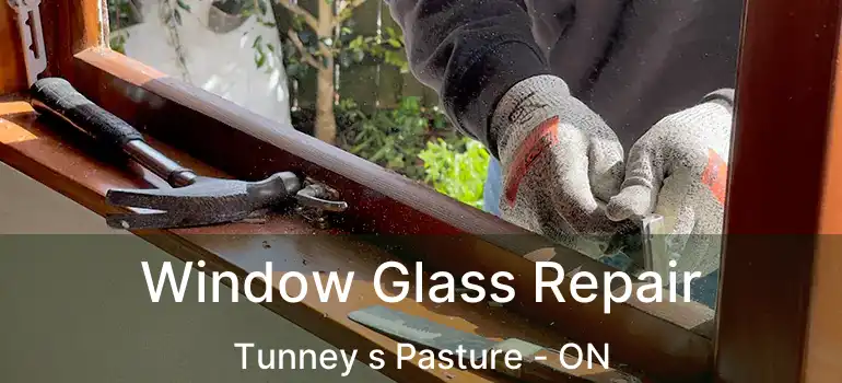  Window Glass Repair Tunney s Pasture - ON