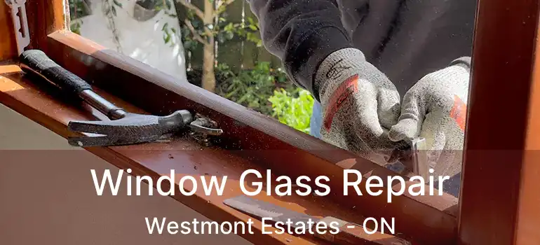  Window Glass Repair Westmont Estates - ON