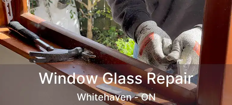  Window Glass Repair Whitehaven - ON