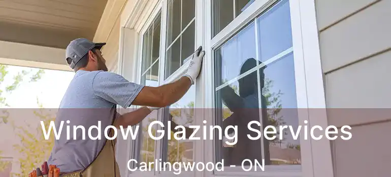  Window Glazing Services Carlingwood - ON