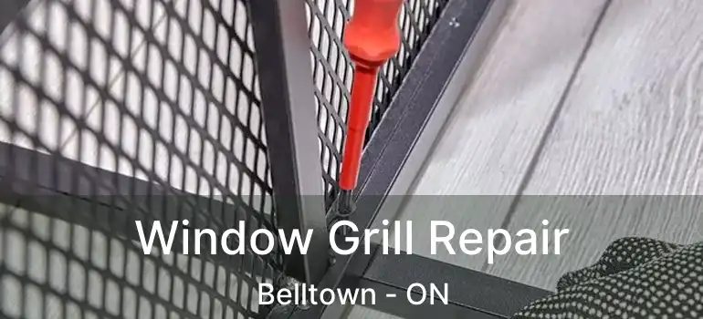  Window Grill Repair Belltown - ON