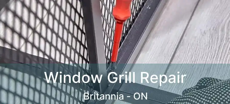  Window Grill Repair Britannia - ON