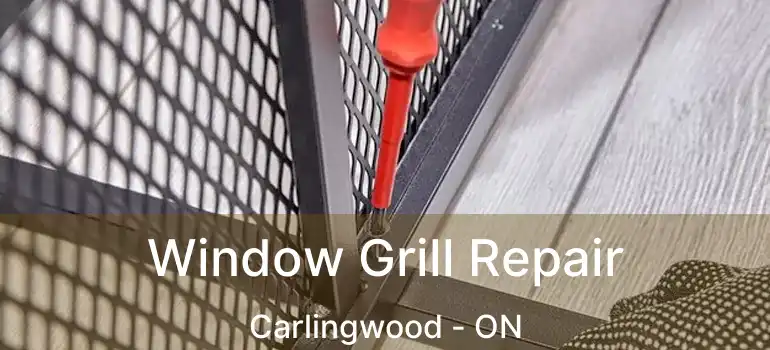  Window Grill Repair Carlingwood - ON