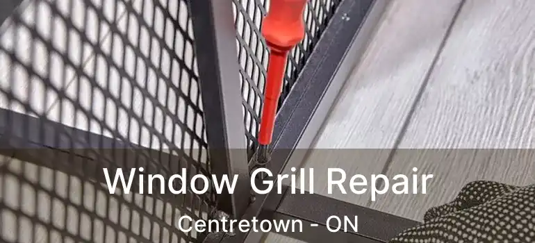  Window Grill Repair Centretown - ON