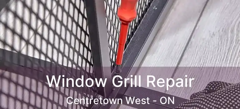  Window Grill Repair Centretown West - ON