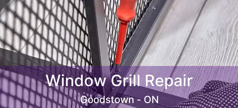  Window Grill Repair Goodstown - ON