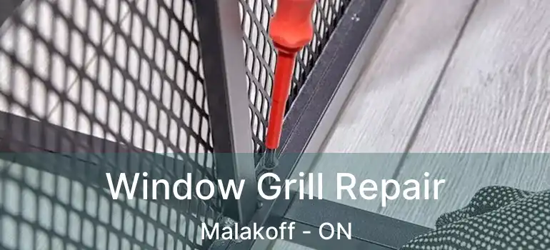  Window Grill Repair Malakoff - ON