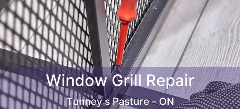  Window Grill Repair Tunney s Pasture - ON