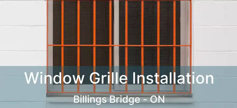  Window Grille Installation Billings Bridge - ON