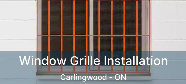  Window Grille Installation Carlingwood - ON