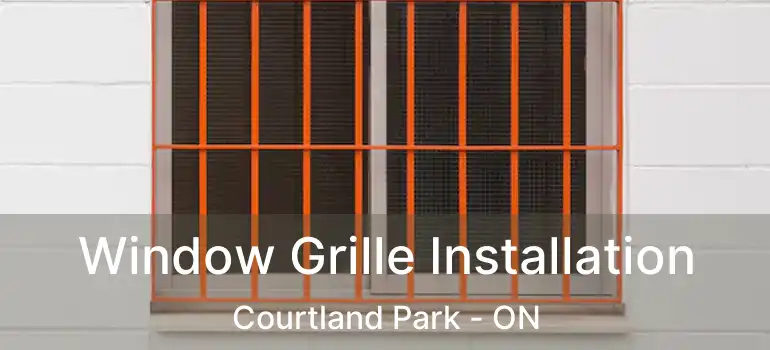  Window Grille Installation Courtland Park - ON