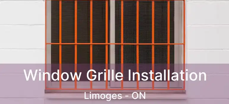  Window Grille Installation Limoges - ON