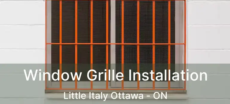  Window Grille Installation Little Italy Ottawa - ON