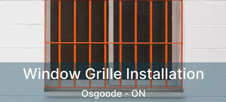  Window Grille Installation Osgoode - ON