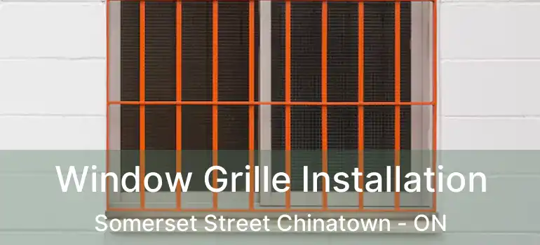  Window Grille Installation Somerset Street Chinatown - ON