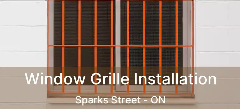  Window Grille Installation Sparks Street - ON