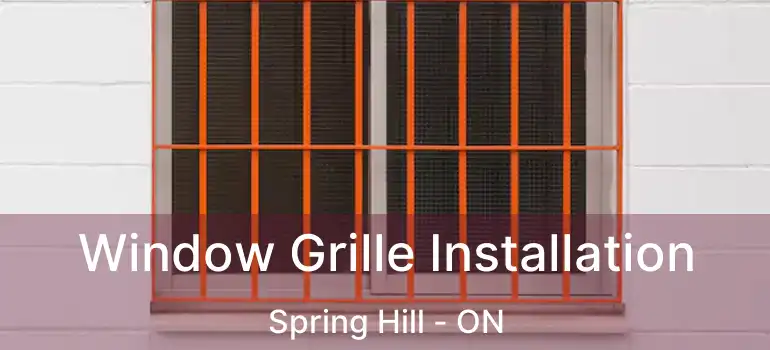  Window Grille Installation Spring Hill - ON