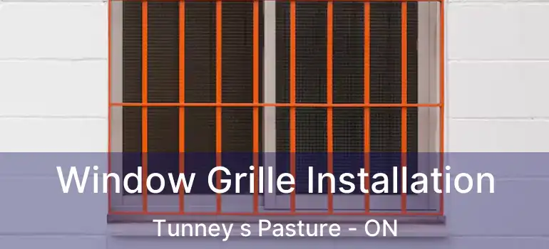  Window Grille Installation Tunney s Pasture - ON