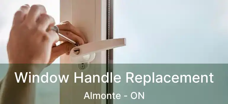  Window Handle Replacement Almonte - ON