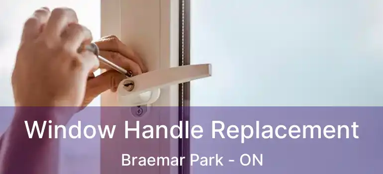  Window Handle Replacement Braemar Park - ON