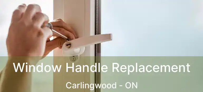  Window Handle Replacement Carlingwood - ON