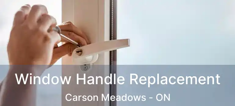  Window Handle Replacement Carson Meadows - ON