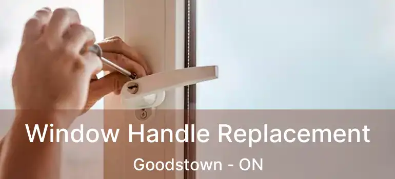  Window Handle Replacement Goodstown - ON