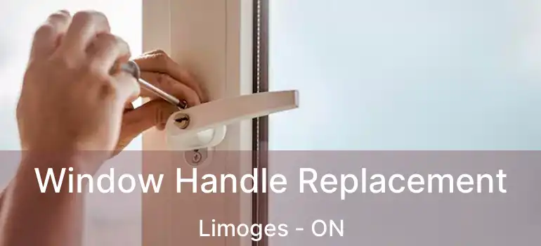  Window Handle Replacement Limoges - ON