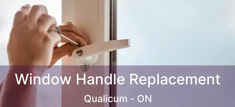  Window Handle Replacement Qualicum - ON