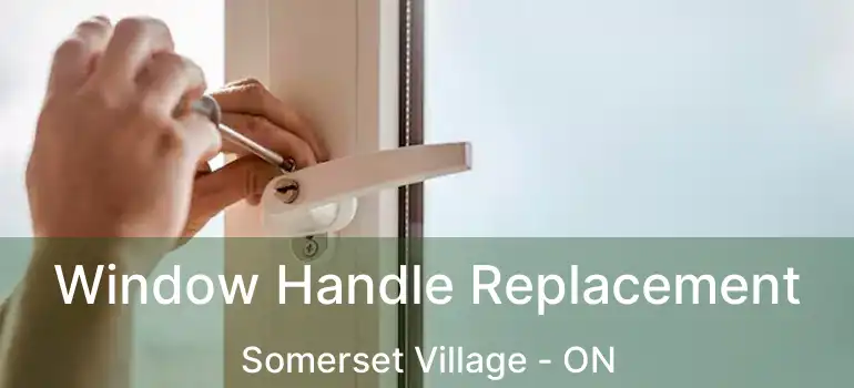  Window Handle Replacement Somerset Village - ON