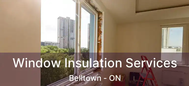  Window Insulation Services Belltown - ON