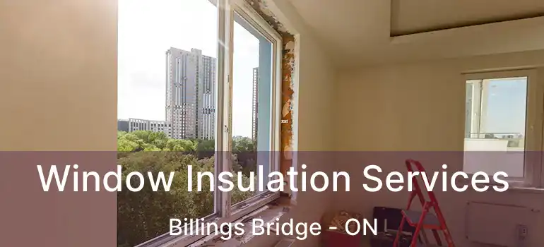  Window Insulation Services Billings Bridge - ON